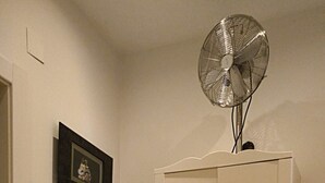 Habitació amb un armari blanc, un refrigerador petit, un ventilador, un quadre amb marc i un interruptor de llum.