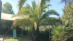 A playground with a slide and swings, surrounded by palm trees and a netted enclosure.