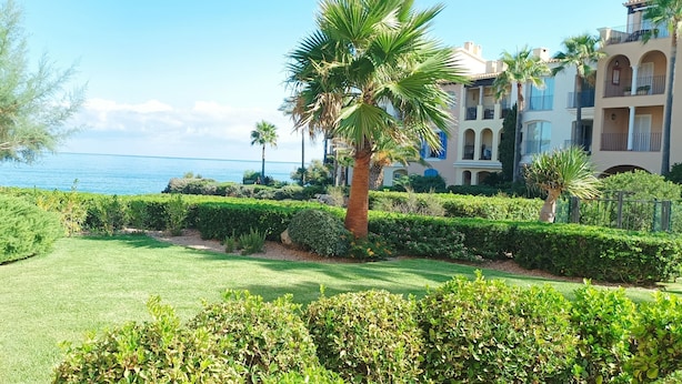A well-maintained garden with hedges, a palm tree, and a view of the sea.
