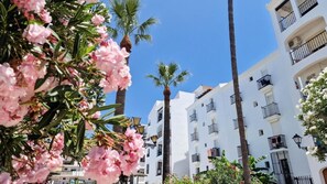 Exterior - Beautiful beachfront 2 bedroom apartment with garage, swimming pool, fast wifi, garden, 30m to beach (Málaga)