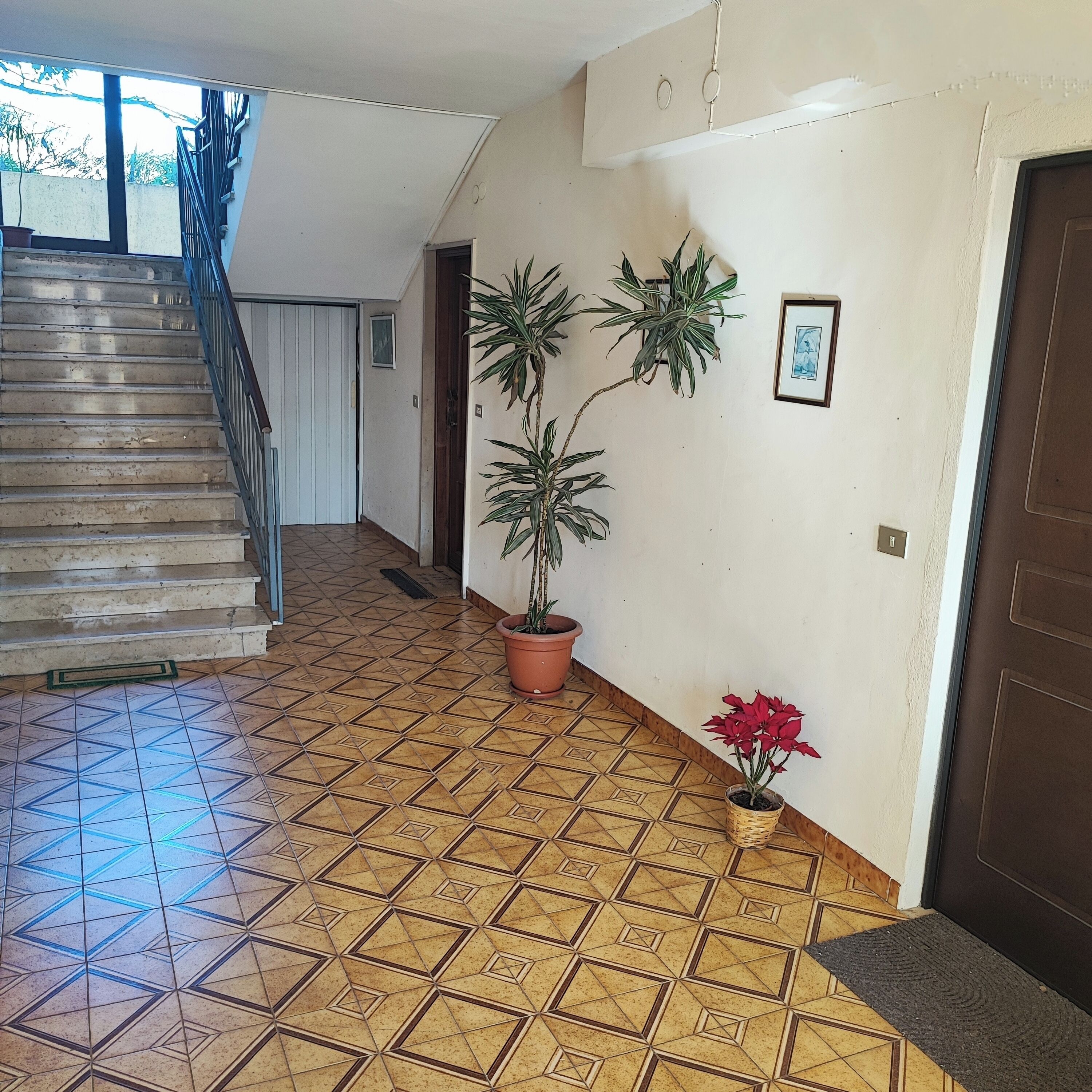 Un pasillo con escaleras, piso de baldosas, plantas en macetas y una puerta.