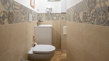 Ducha, secador de pelo, toallas