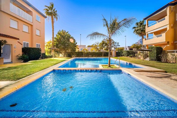 Una piscina rectangular con borde de azulejos, rodeada por un césped cuidado y palmeras.