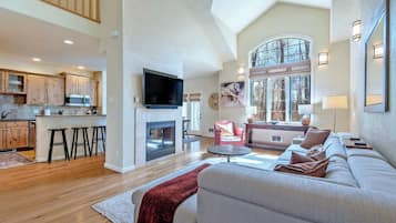 TV, fireplace, books