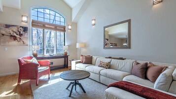 TV, fireplace, books