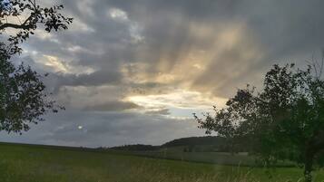 Een veld met bomen en een bewolkte lucht.