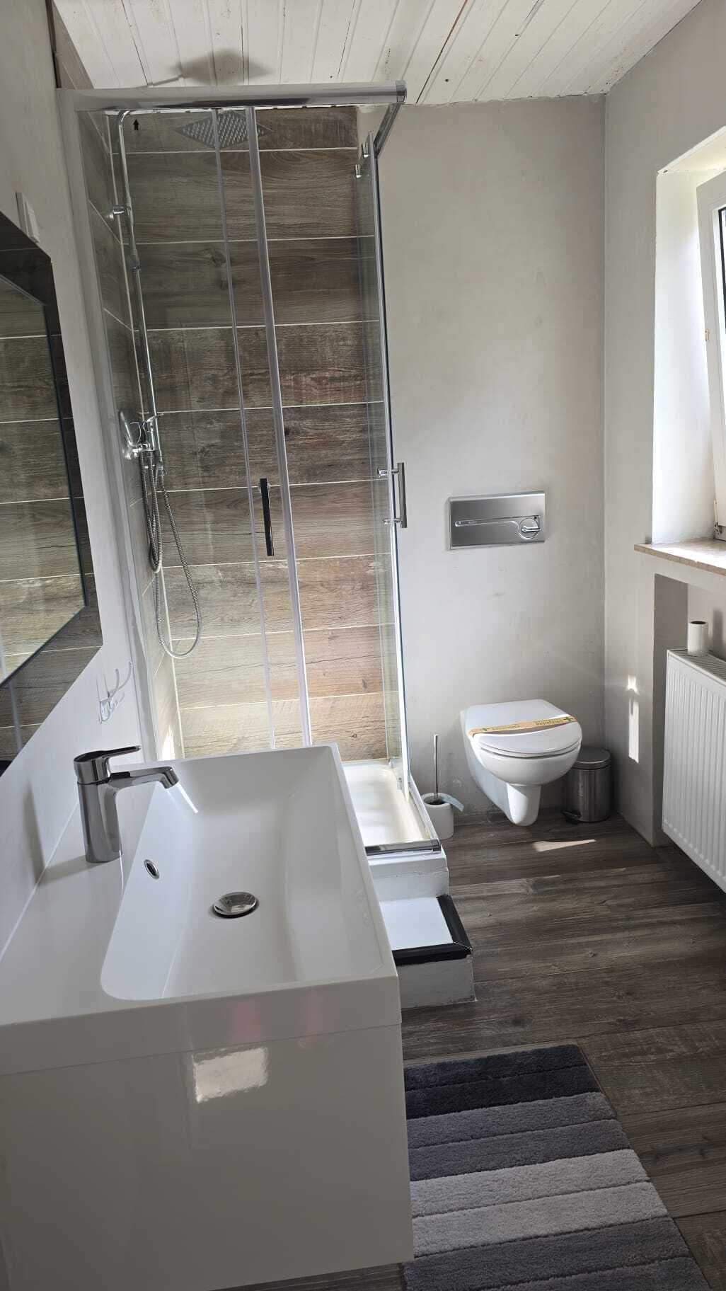 A modern bathroom with a glass shower enclosure, a white sink, and a toilet.