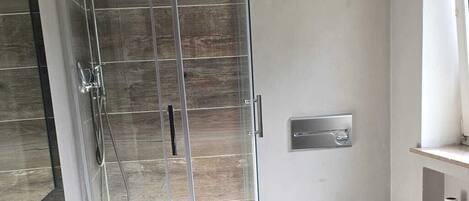 A modern bathroom with a glass shower enclosure, a white sink, and a toilet.