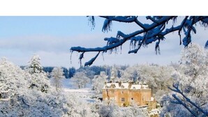 Ein historisches Gebäude, umgeben von schneebedeckten Bäumen.