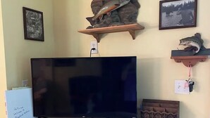 Una sala de estar con televisor de pantalla plana sobre una encimera de granito, armarios de madera debajo y peces decorativos en estantes de pared.