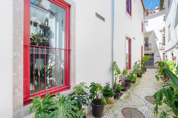 A narrow alley with potted plants, a red-framed window, and a tiled floor.