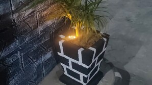 A potted plant with a white and black pattern on a concrete surface. - The Whale Inn (Kaduna)