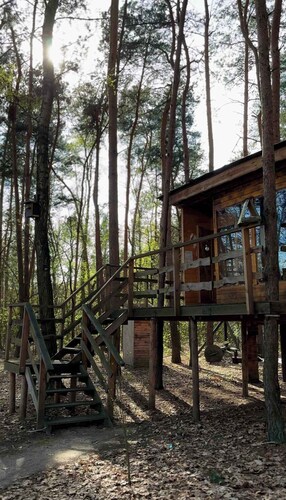 Domek na Drzewie - Leśna Przystań
