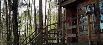 Domek na Drzewie - Leśna Przystań