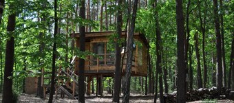 Domek na Drzewie - Leśna Przystań
