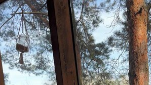 Una baita di legno con un'ampia finestra, un lampadario e vista sugli alberi.
