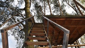 Una scala in legno conduce a una piattaforma con ringhiere in metallo, circondata da alberi.