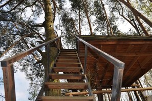 Property grounds - Treehouse - Leśna Przystań (Rudka Gołębska)
