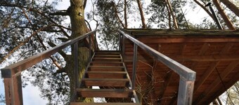 Domek na Drzewie - Leśna Przystań