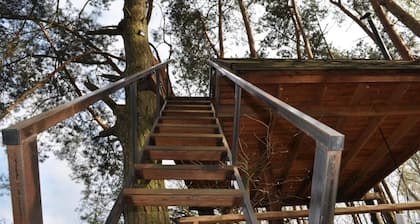 Domek na Drzewie - Leśna Przystań