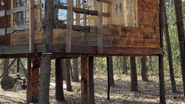 Una baita di legno con una struttura in vetro, circondata da alberi.