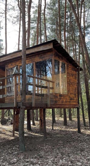 Exterior - Treehouse - Leśna Przystań (Rudka Gołębska)