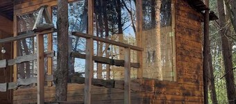Domek na Drzewie - Leśna Przystań