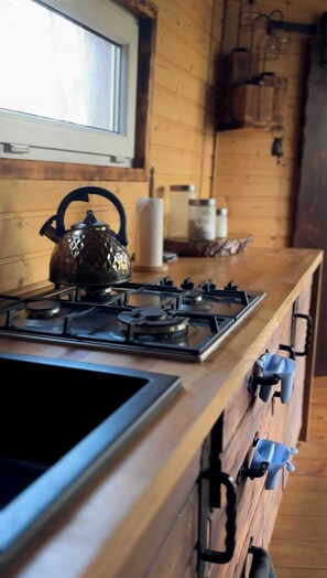 Private kitchen - Treehouse Villa - Leśna Przystań (Rudka Gołębska)