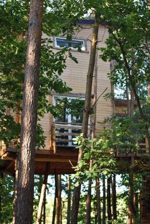 A wooden cabin with a balcony, surrounded by trees.