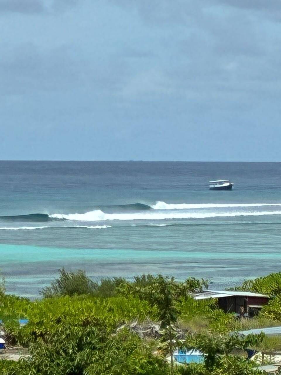 A coastal view with waves, a boat, and some greenery in the foreground.