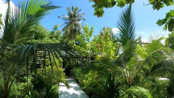 Jardín