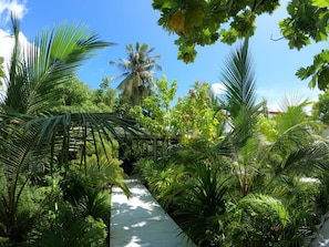 Jardin