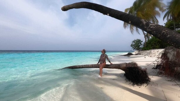 A person walking on a beach with clear turquoise water, a fallen tree, and palm trees in the background. - Oceana Surf Maldives (Kudahuvadhoo)