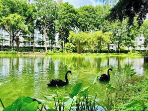 Utsikt til park