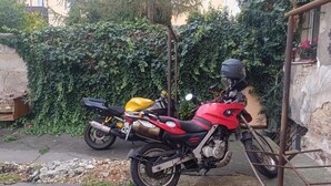 Dos motocicletas estacionadas en un patio con un muro de ladrillo y follaje al fondo.