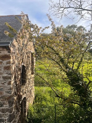 Property grounds - House Pléneuf Val André, 5 minutes from the beach. Ideal tribe 6 pers. (Pléneuf-Val-André)