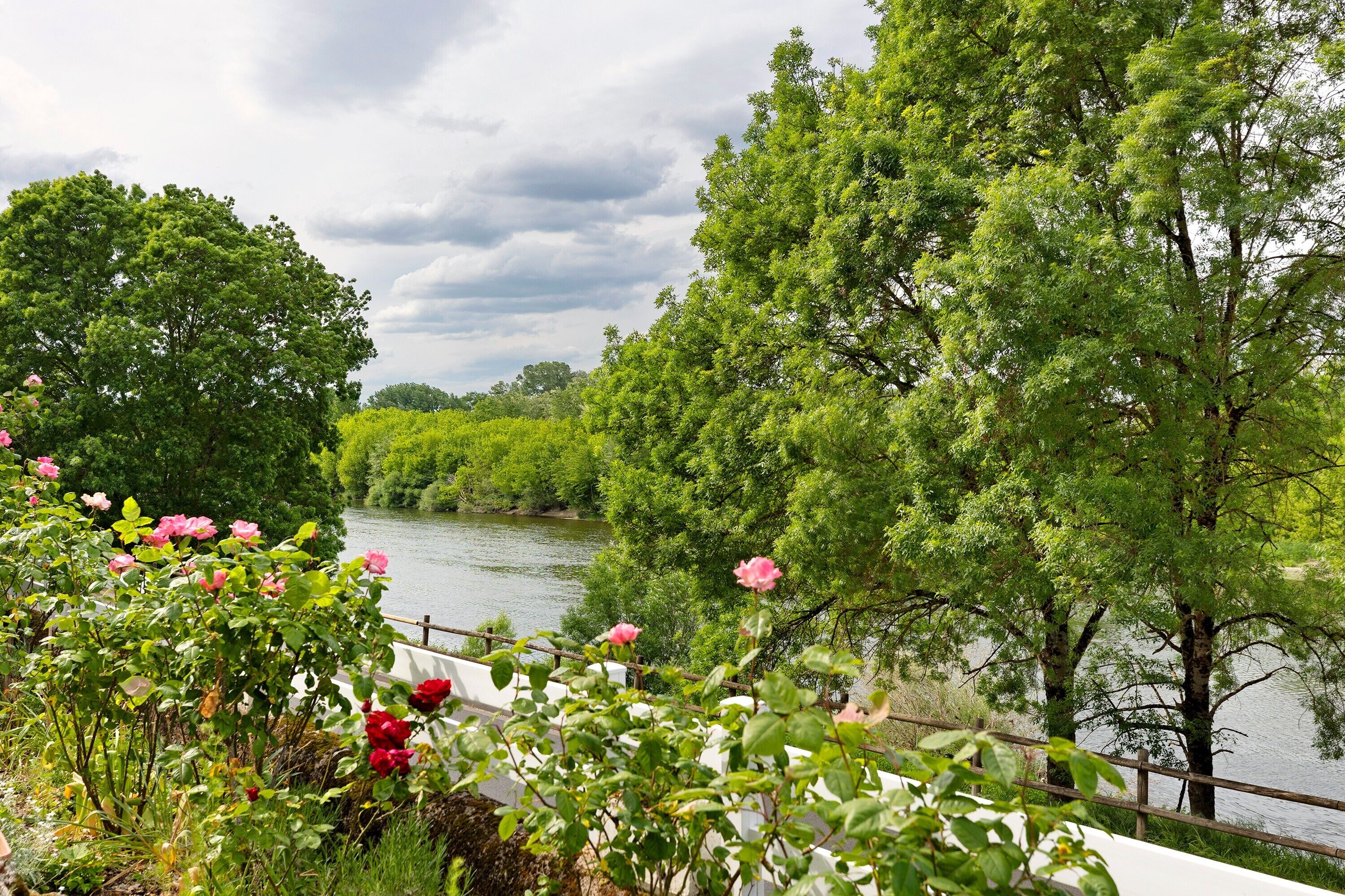 Une rivière bordée d’une végétation luxuriante et d’arbres, une clôture en bois et des fleurs en pleine floraison.