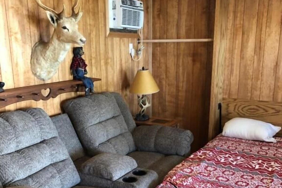 A room with a sofa, a bed with patterned bedding, a mounted deer head, a lamp, and an air conditioning unit.