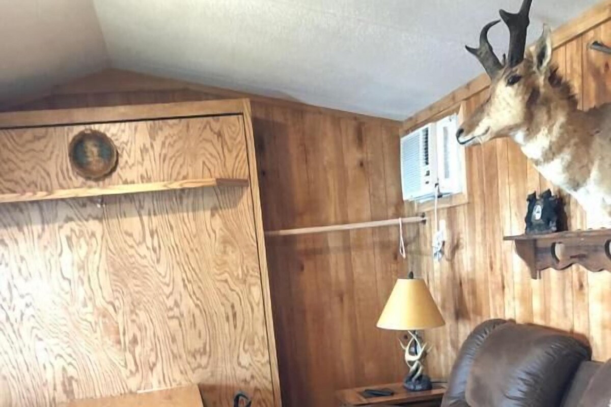 A wooden interior with a dining table, chairs, a leather sofa, and a mounted animal head.