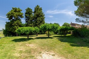 A grassy area with trees and a building in the background.