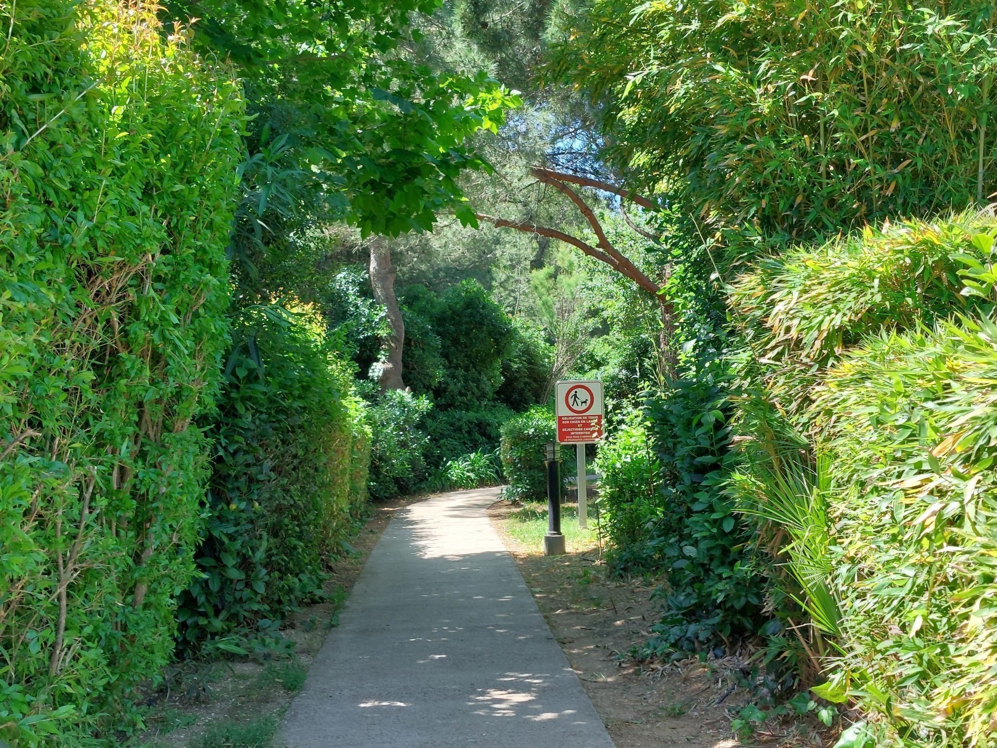A narrow pathway flanked by dense greenery, leading to a signpost with a prohibition symbol.