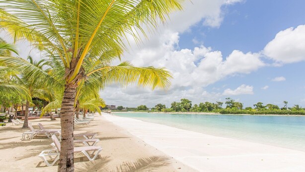 A beach with white lounge chairs and palm trees. - Pool View, Gym, and Artificial Beach (Punta Cana)