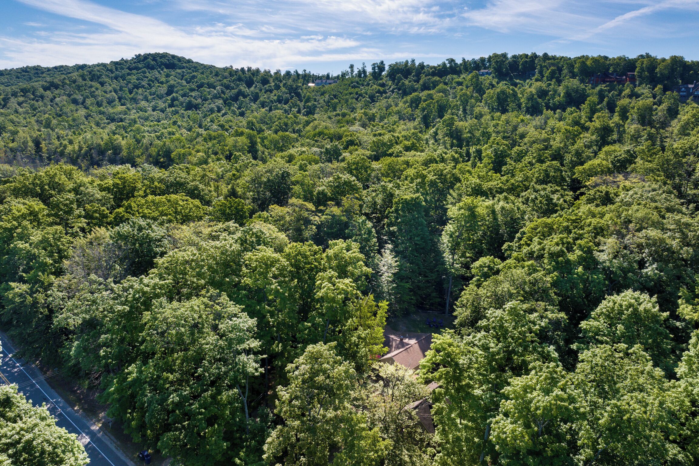 A forested area with a road and a building.