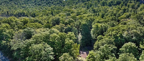 A forested area with a road and a building.