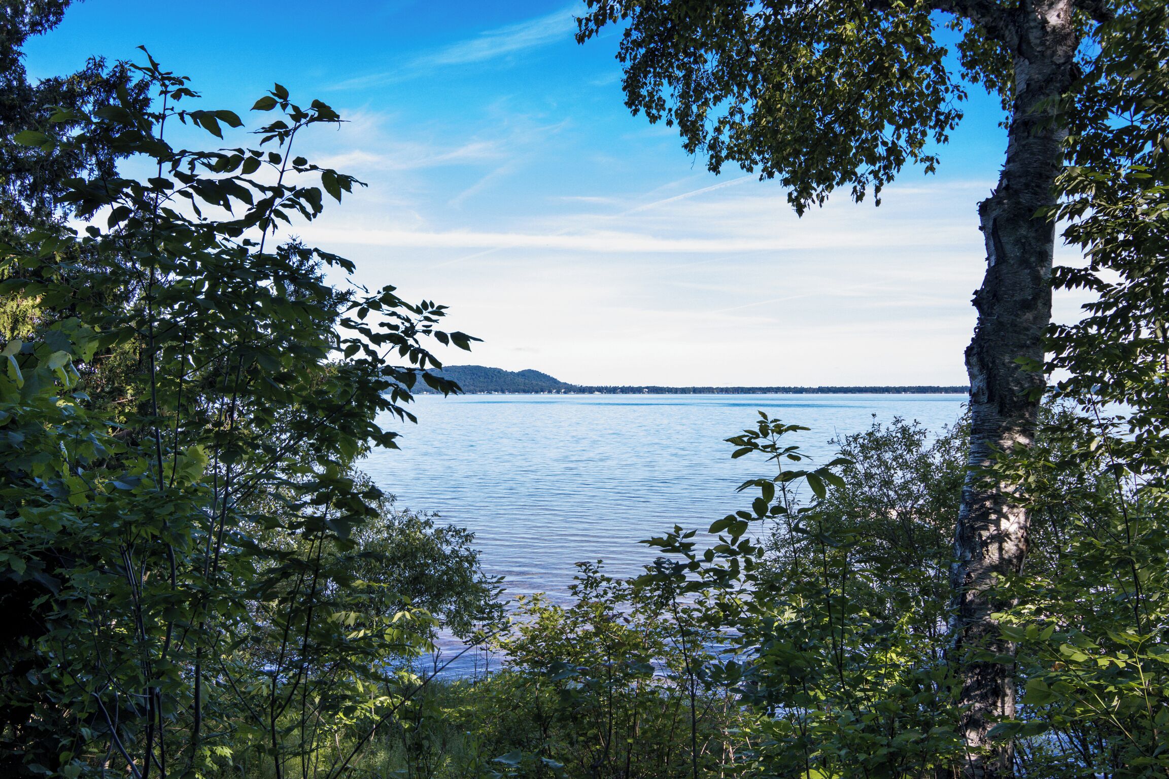 Un paysage naturel comprenant une étendue d’eau, des arbres et une chaîne de montagnes à l’horizon.
