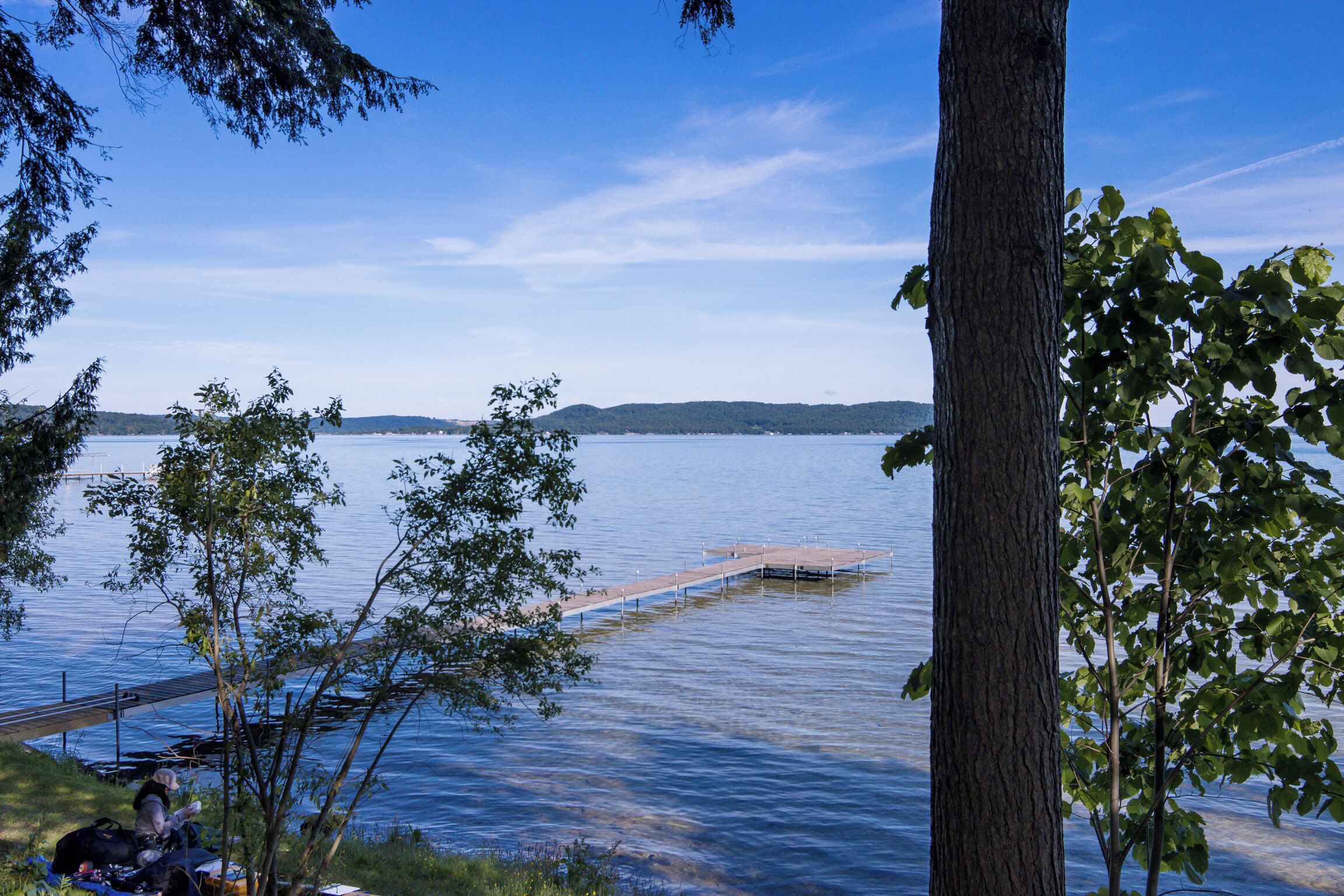 A lakeside view with a dock extending into the water, surrounded by trees and a clear sky.