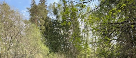 Overnatningsstedets område