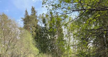 Nice farm apartment with terrace and garden right next to forest and river.