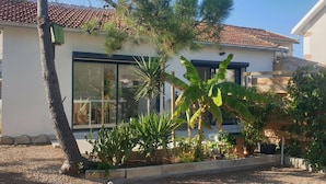 Ein modernes Haus mit einem großen Fenster, einem Ziegeldach und einem Garten mit verschiedenen Pflanzen.