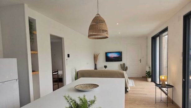 Eine moderne Küche mit Kochinsel, einer Pendelleuchte, einem Fernseher an der Wand und einer Kakteenpflanze.